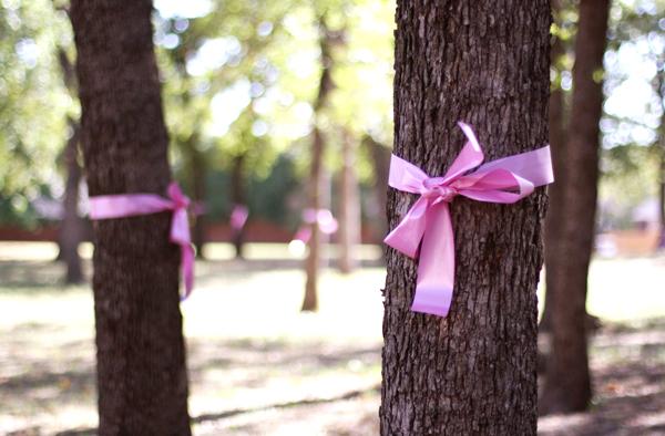 Coppell High School promotes Breast Caner Awareness Month with pink ribbons tied around trees in front of the school. Photo by Brian Hwu.