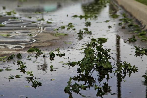 Wicked weather brings in storm of social media
