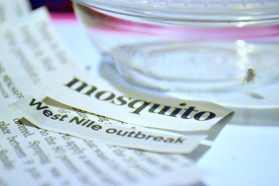 The West Nile Virus has frighten the U.S. especially Dallas county community, at least 326 have been reported and confirmed. Photo by Rowan Khazendar