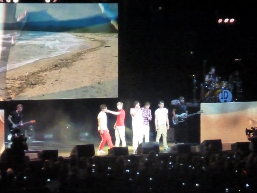 One Direction performing their song I Wish at Gexa Energy Pavilion in Dallas on June 23, 2012.  Photo by Christianna Haas 
