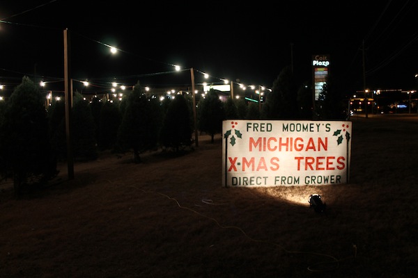 Photo Gallery: Moomey Christmas tree farm comes welcome to all