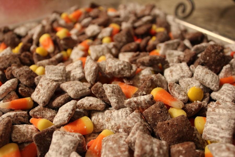 Photo Gallery: Puppy Chow with a spook