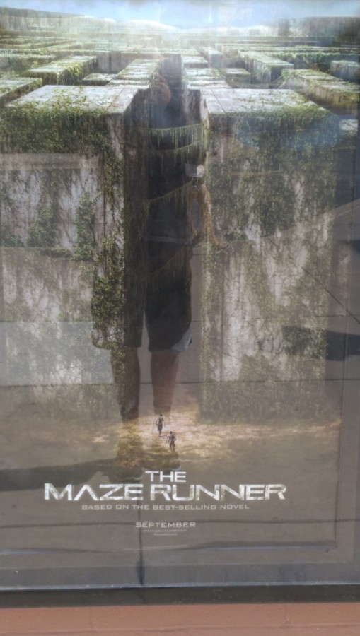 OBrien%2C+Poulter+bring+life+to+the+new+movie+Maze+Runner