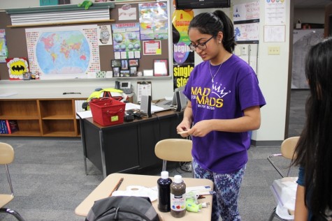 Coppell High School junior Rhea Tibrewal explains how to create a wand on Thursday in room B203. Tibrewal is the president and founder of the recently created CHS Harry Potter Club. 