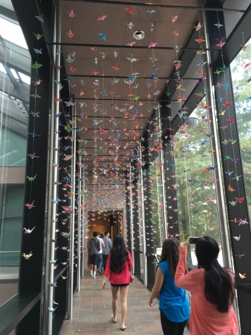 Almost 15,000 crane origamis are displayed in the entrance to the Crow Museum of Asian Art. The museum is located in the Downtown arts district along with the Dallas Art Museum (DMA), Nasher Sculpture Center and Meyerson Symphony Center. 
