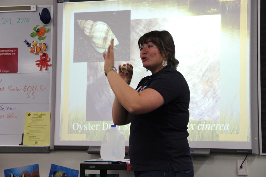 Rena Elser, the program coordinator of Texas A&M Sea Camp, gives a presentation about sea animals on Monday in Laronna Doggett’s aquatic science classroom. During her presentation, Elser passed around massive sea shells and pearls from oysters. 