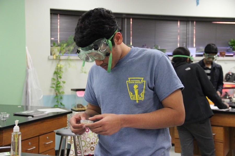 Coppell High School senior Sai Vegasena intently observes the plate of agar to see if his particular strain of bacteria is resistant to alcohol on Thursday in E203. Students in Jennifer Martin’s AP Biology class are artificially selecting for resistance in E. coli. 