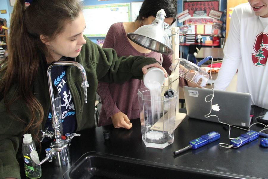 Coppell High School senior Becky Parker pours in powdered Alka-Seltzer into water during a lab on Wednesday in room E208. Unlike many other lab groups, Parker’s group used a chemical reaction of Alka-Seltzer and water to produce the carbon dioxide that they needed for their experiment.
