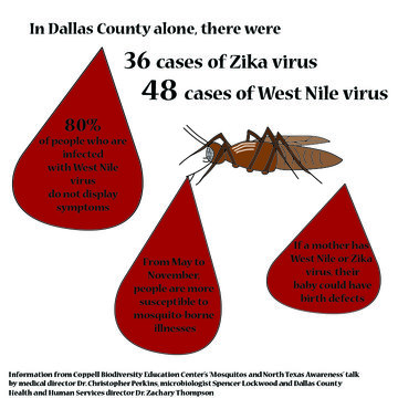 What’s the buzz with West Nile and Zika virus?