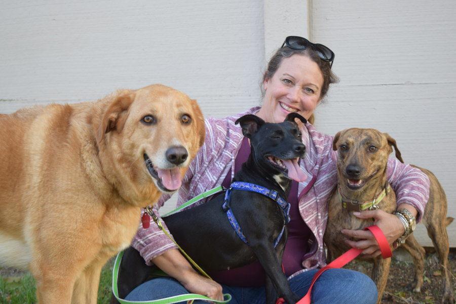 Roadtrip 4 Paws founder Kelly Bond sits with her two dogs, Augusta and Eleanor, after playing with their friend Vivian. RT4P has been a non-profit rescue for more than two years and has helped many animal shelters decrease their euthanasia rates.