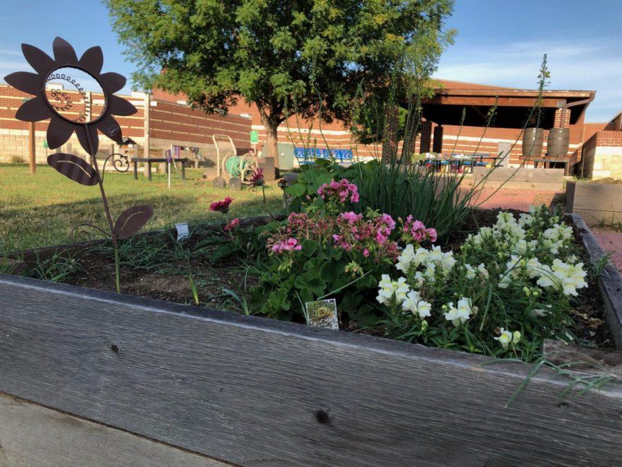 Denton Creek Elementary contains a school garden which students contribute to in order to teach them how to nurture and be aware of the environment. Maintaining a school garden is one aspect which CISD encourages in order to create a healthy school zone.