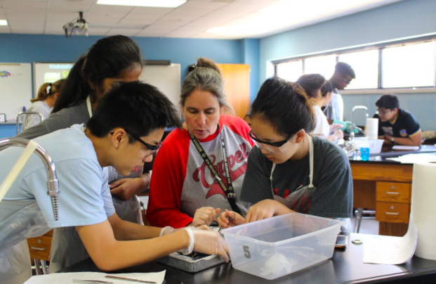 Biology honors/GT teacher Cathy Douglas guides students as they work on a pig dissection. Douglas recently won a 2018 Southern Methodist University Teacher Award. At the Dallas Regional Science and Engineering Fair at SMU on April 4.