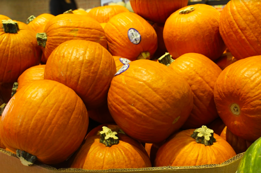 Fall is approaching and pumpkins are being sold at stores such as Tom Thumb. This season calls for many opportunities to enjoy the cool weather including movies such Fantastic Beasts and Where to Find Them and Venom.