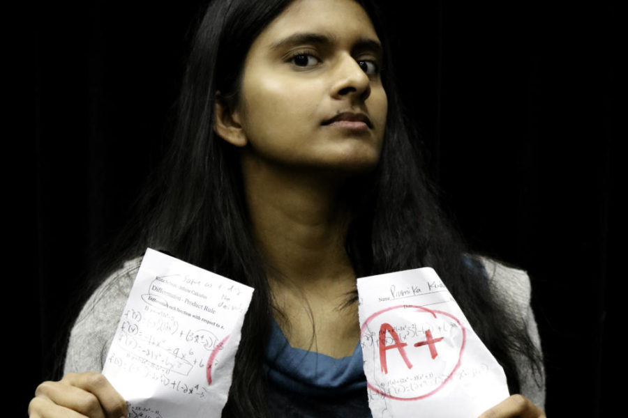 Many Asian students at Coppell High School and around the nation face academic stereotypes based on their ethnicity. The Sidekick Copy Editor Pramika Kadari discusses why these stereotypes must end. 