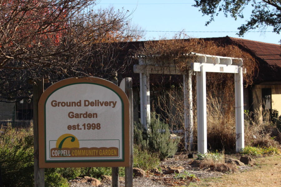 Since 1998, Coppell Community Gardens’, inclusive environment is one that its volunteers have taken advantage of, inviting organizations such as Coppell’s Nation Charity League chapter. The plants are harvested are donated to Metrocrest Services food pantry.