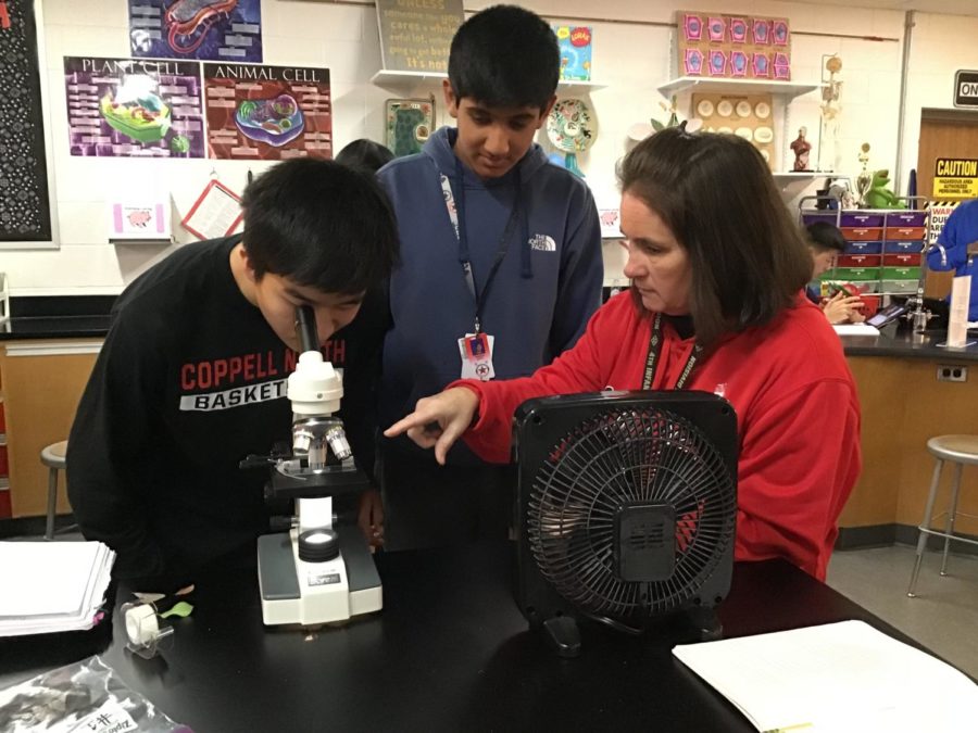 CHS9 biology honors/GT teacher Cathy Douglas spent the last 18 years at Coppell High School, and has more than 27 years of teaching experience.  Douglas recently won the first Teach of the Year award at CHS9.