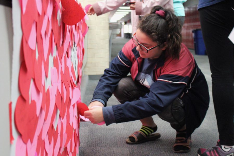 Coppell High School senior Delany Bell goes through the hearts on the senior bridge on Feb. 14.  Student Council worked on a project to distribute paper heart cards to the entire student body. Every student in the school has their own paper hearts with personalized for the recipient, containing a touching message. 
