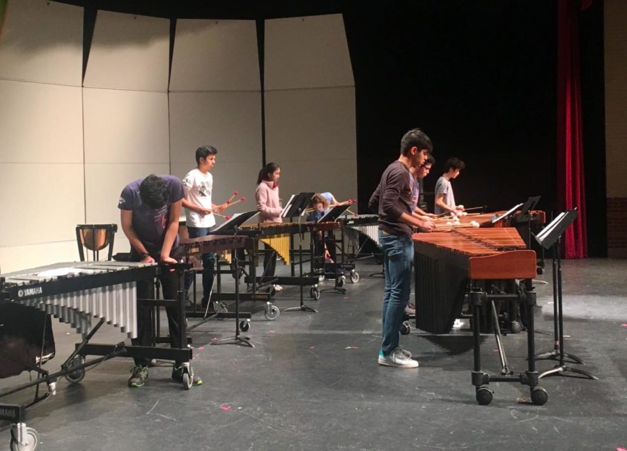 Coppell+High+School+percussionists+prepare+for+their+rehearsal+for+Purely+Rhythmic%2C+an+annual+show+and+fundraiser+on+March+7.+The+show+starts+at+7+p.m.%2C+and+admission+is+%248+for+adults+and+%245+for+students.