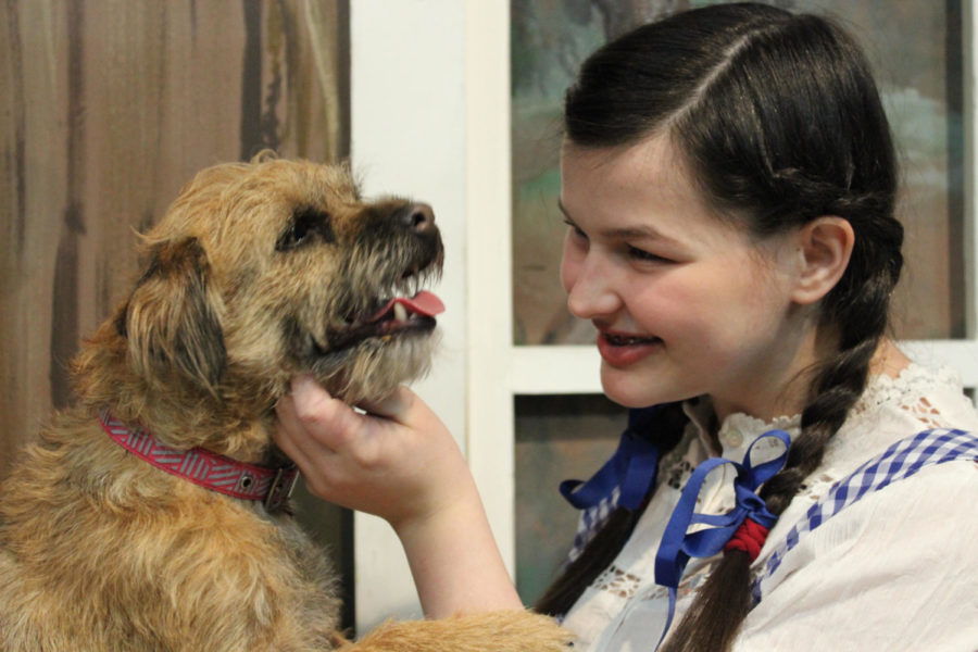In Theatre Coppell’s show “The Wizard of Oz”, Dorothy (played by Bella Bollack), pets her dog, Toto. Theatre Coppell’s second set of “The Wizard of Oz” performances are this weekend, starting Friday at 8 p.m. 
