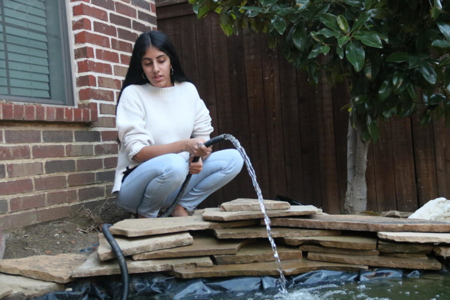 CHS9 student Taara Bhojwani refills the water in her pond on Wednesday in the backyard. Bhojwani spent hours in the sun to build the Koi pond by herself. 
