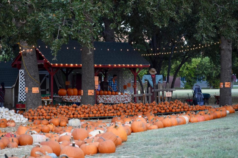 The pumpkin patch at Rejoice Lutheran Church offers an assortment of pumpkins for customers to choose from. Rejoice Lutheran Church sells a variety of different pumpkins and decorations and is open every day until the end of October.