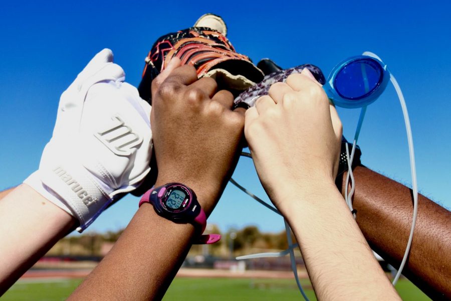 Sports such as softball, cross country, soccer, swimming and football all have races that are stereotyped as participants. These racial patterns can be seen both on a professional and high school level.