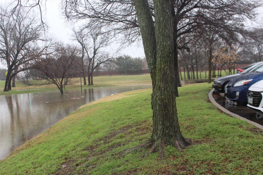 Campus grounds near thee parking lot at Coppell High School was flooded after heavy rain over night and this morning. The heavy rain came after a record high temperature of 81 degrees Wednesday, light snow Saturday and tornado warnings Friday.