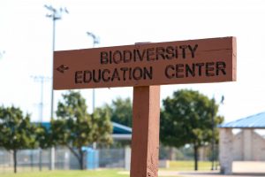 The Coppell Biodiversity Education Center continues to offer nature walks and events during the pandemic. The BEC is practicing social distancing and following CDC guidelines to organize events such as scavenger hunts, EcoExplorer trail kits and trail hikes.  

