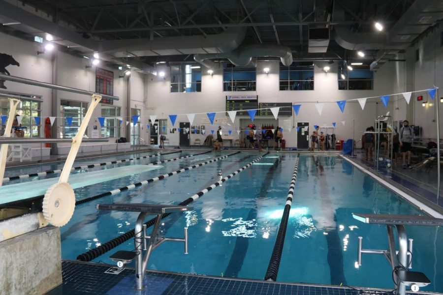 The Coppell swimming & diving team hosted their first meet of the season, Trinity Dual, on Oct. 9 at the YMCA. Swimming with the home advantage was unexpected for the Cowboys, as the YMCA is a smaller pool.