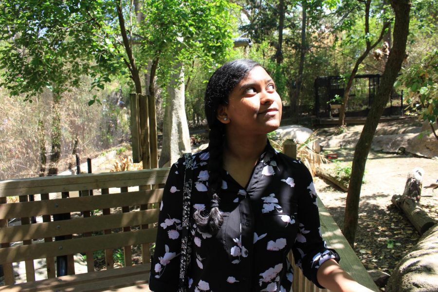 New Tech High @ Coppell sophomore Vibha Radhakrishnan spends the morning at the Dallas Zoo on April 18. Radhakrishnan has been volunteering weekly as a part of the Zoo Crew volunteer program since 2017, where her role volunteering primarily includes educating guests about the animals and cleanup duty.