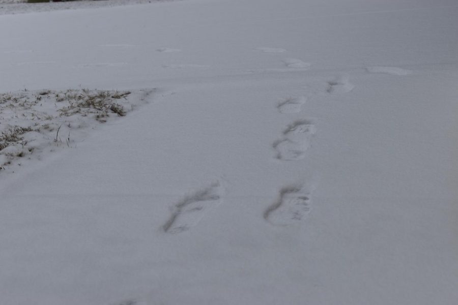 Footprints are left in the snow in the Bridges Community in Irving on Sunday. Coppell experienced snowfall on Sunday, and there is a winter storm warning for the Dallas-Fort Worth area as per the National Weather Service.