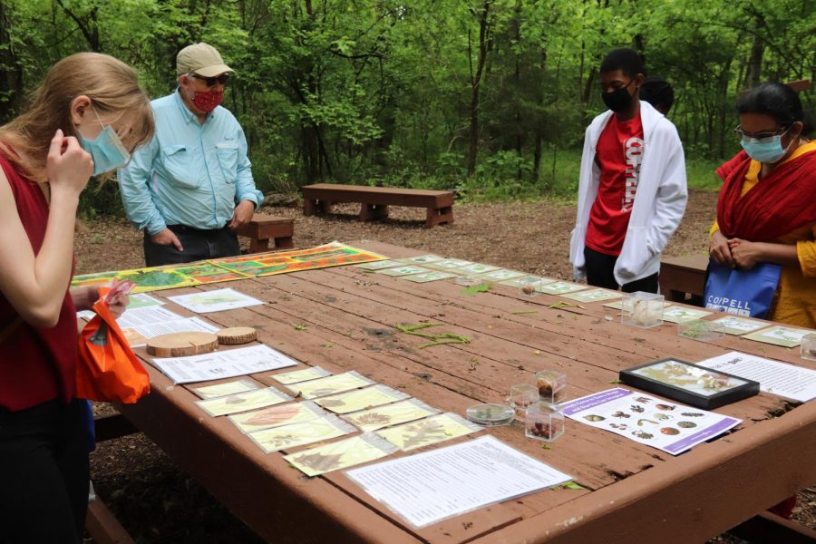 Earthfest visitors study a seed and leaf display at the outdoor classroom in the Coppell Nature Park on Saturday. Coppell’s annual Earthfest featured several learning stations along the trails, as well as many opportunities to learn about the natural environment from its featured vendors. Photo by Olivia Cooper 
