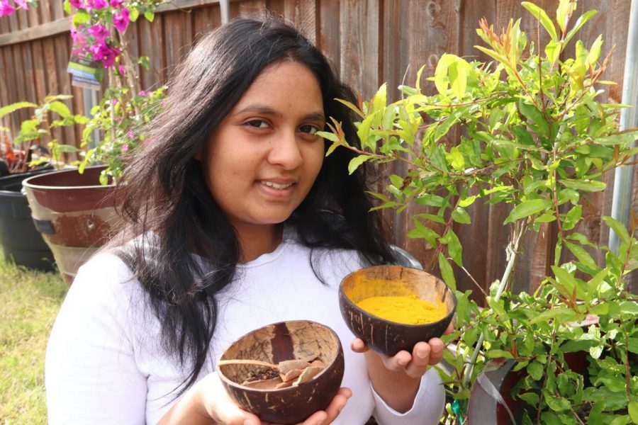 Coppell High School junior Aditi Thakur holds bowls of turmeric and spices used in the ancient practice of Ayurveda. Thakur was inspired by her mother to study Ayurveda, in which she grows and buys medicinal herbs in order to implement different practices of medicine into her life.