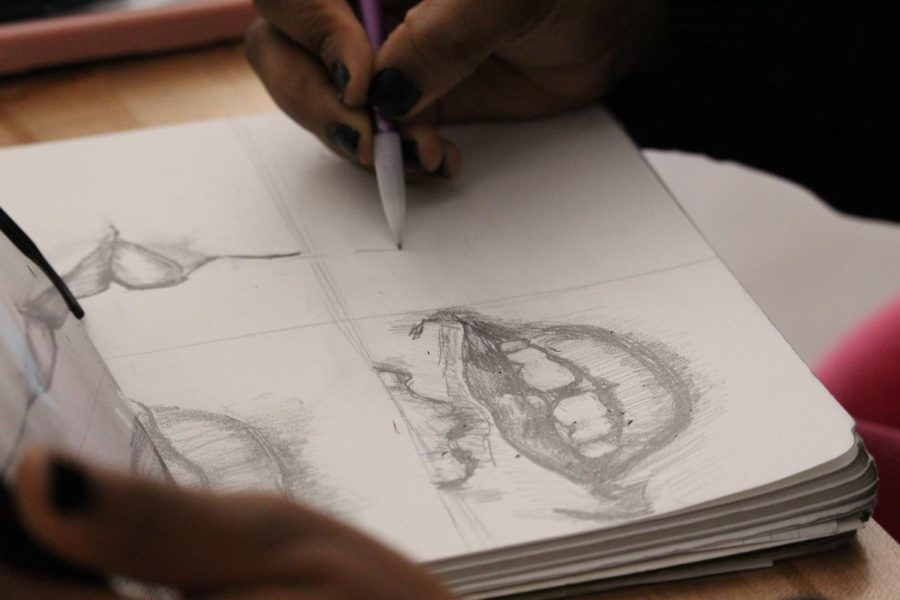 Coppell High School junior Alexis Sibanda draws mouths from reference for a portrait project. Sibanda’s artwork depicts her friends and family, often commentating on social justice issues.