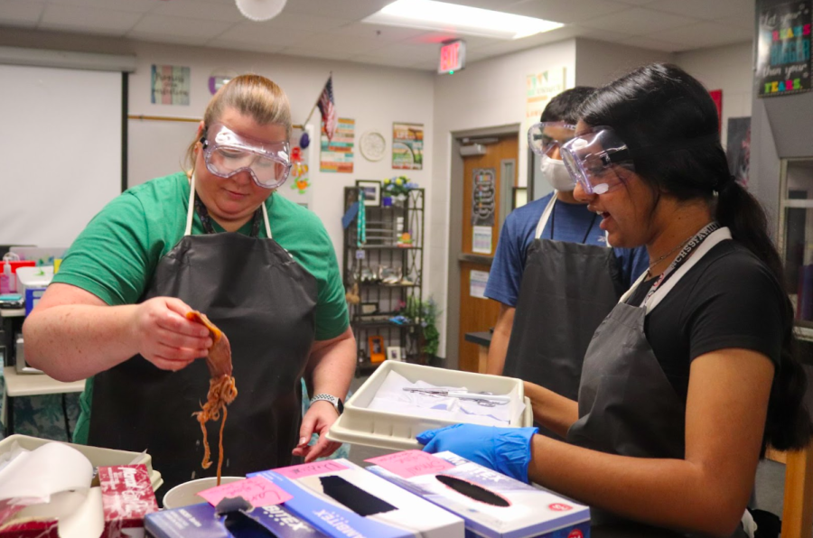 Biology teacher Larona Doggett places a preserved squid onto CHS9 freshman Sukritha Muthiah’s dissection plate. Doggett incorporates hands-on projects into the curriculum, such as dissections, to engage the interests of her students. 