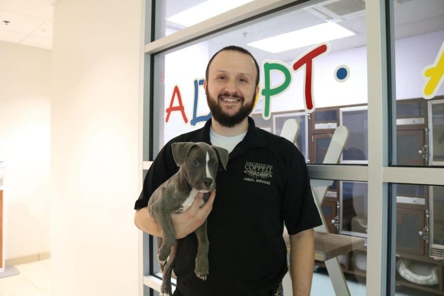 Coppell Animal Shelter officer Johnathan Horner carries Bruiser, a nine-week old pit bull terrier, who was adopted on Sunday. The Coppell Animal Shelter’s “Clear The Shelters” event to increase pet adoption ran Aug. 22-31.