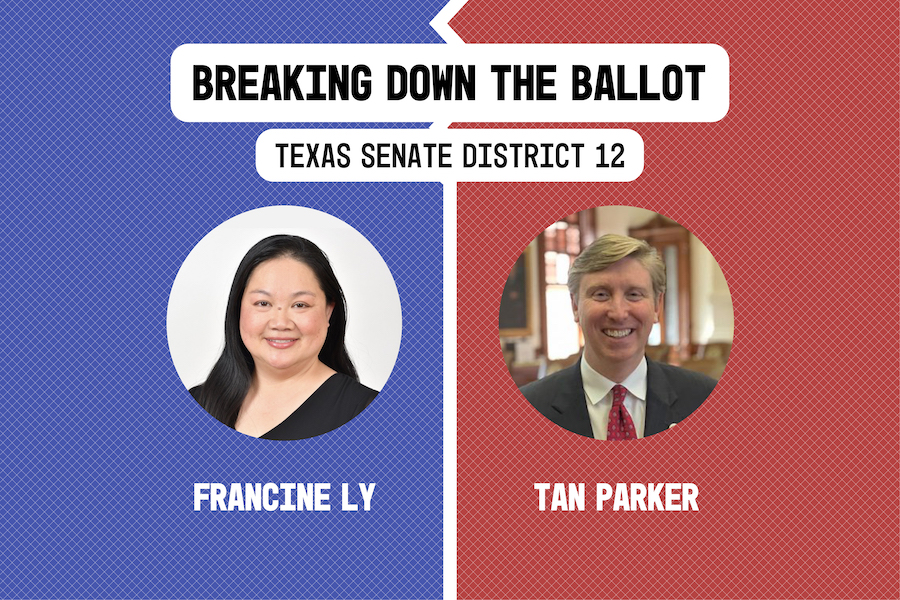 Breaking down the ballot: Texas Senate District 12
