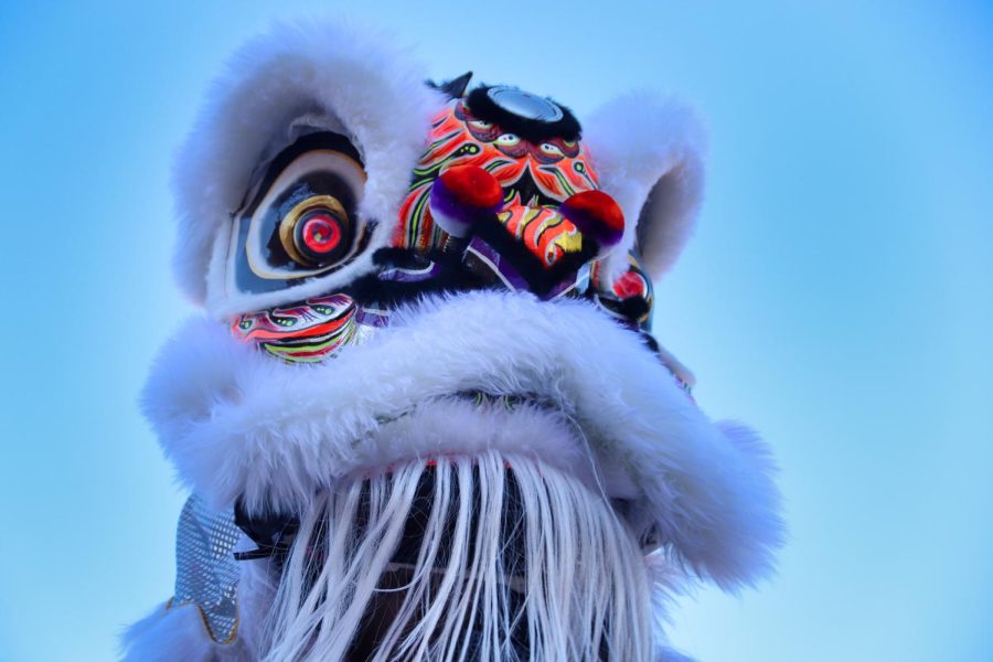 The white lion is mounted at the highest jong, which are circular platforms elevated by poles with varying heights, during the jongs routine. The Pháp Quang lion dance group performed traditional lion dancing as a part of Lunar New Year celebrations at Asia Times Square in Grand Prairie on Sunday.