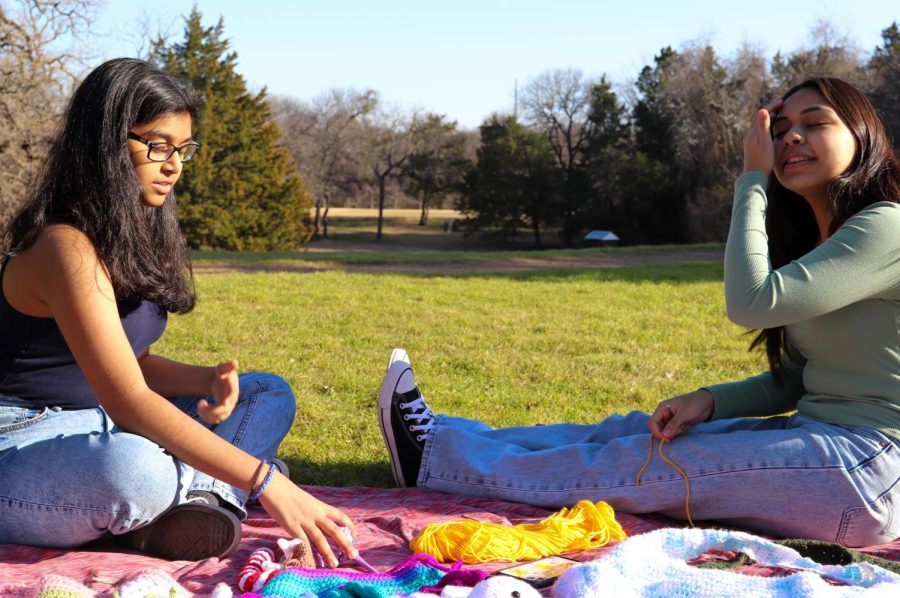Coppell High School juniors Ananya Anupindi and Julieta Aguirre-Jimenez have run AJ Crochet Shop, a local crochet business, since last summer. Anupindi and Aguirre-Jimenez hold tri-annual sales for their products at the Coppell Farmers Market. 