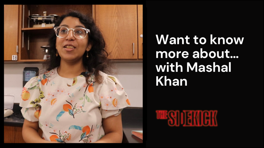 Want to know more about… with Mashal Khan