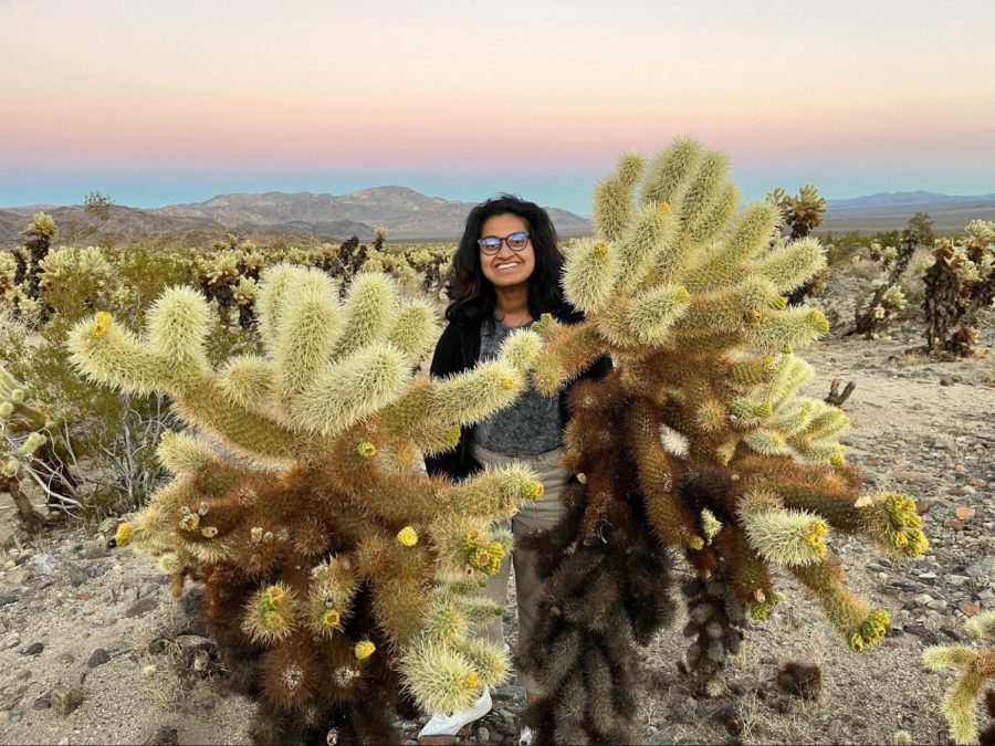 The Sidekick staff cartoonist Maya Palavali poses in front of a cactus at Joshua Tree National Park in Palm Springs, Calif. Palavali recounts a funny adventure from her vacation to the desert town.
