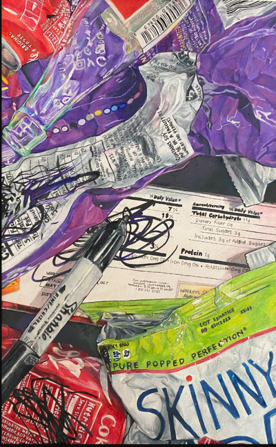 Freshman+Safiya+Azam+advanced+to+state+for+her+work+%E2%80%9CStyroheart%E2%80%9D+in+the+2023+Visual+Arts+Scholastic+Event.+VASE+is+a+competition+held+every+year+in+Texas+to+recognize+distinguished+artists+across+regions.+