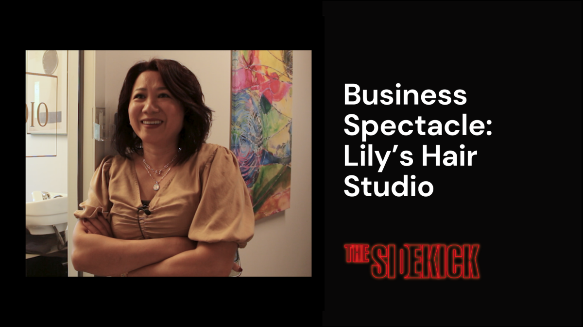 Business Spectacle: Lilys Hair Studio (video)