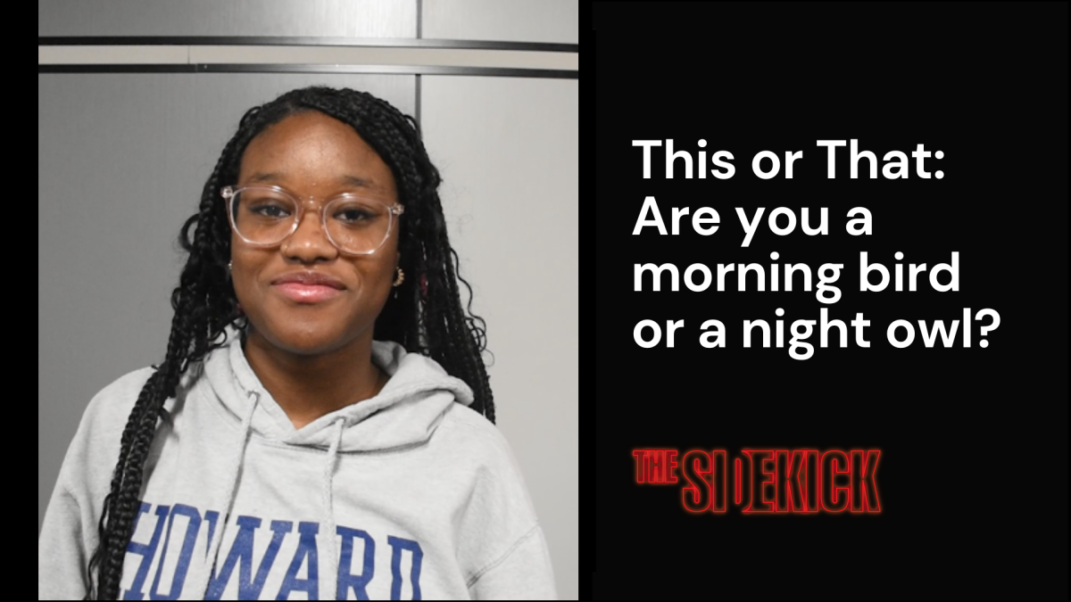 This or That: Are you a morning bird or night owl?
