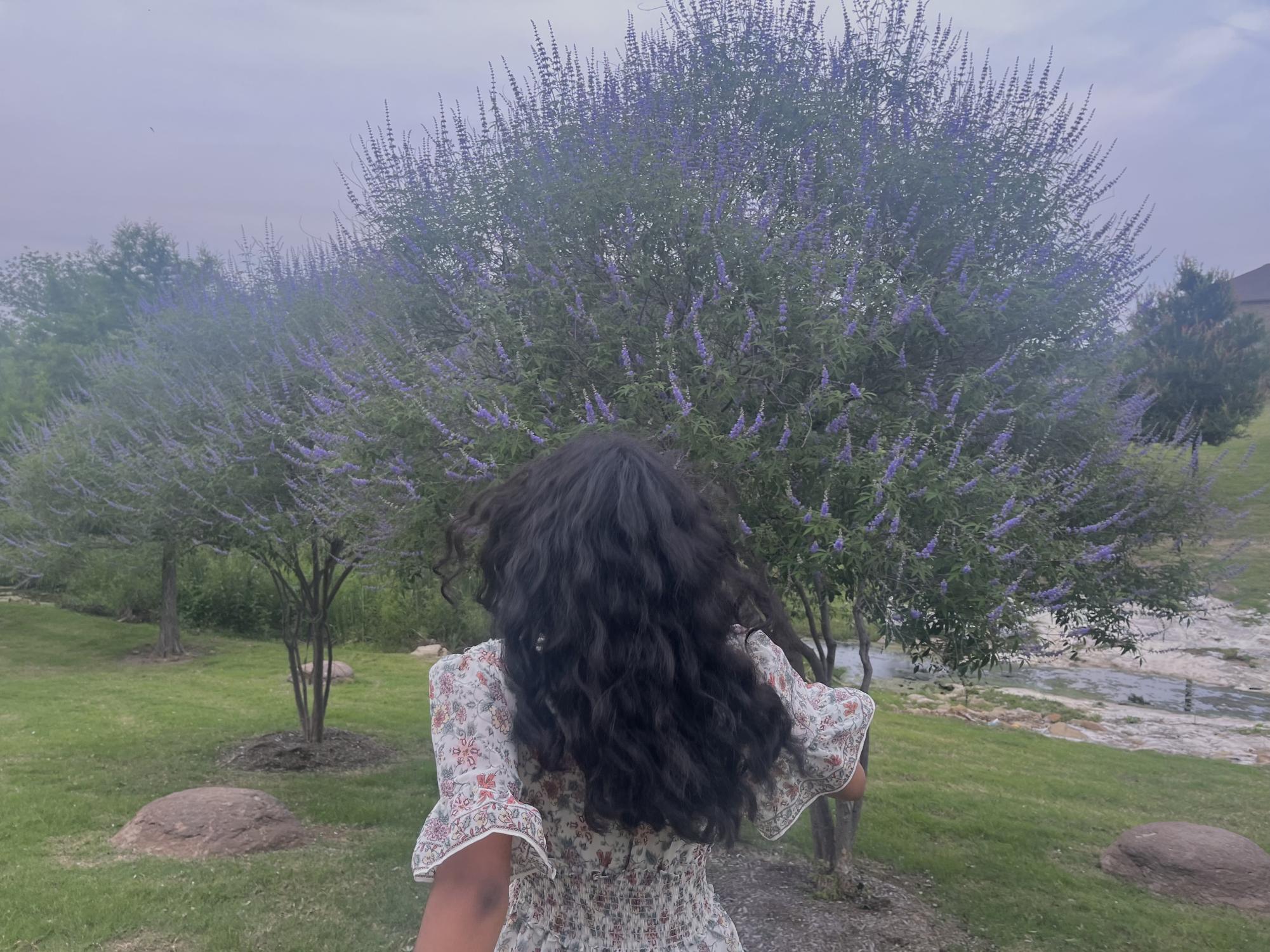The Sidekick staff designer Greeshma Marathu is grateful for her curly hair. She writes about facing insecurities with her hair and her journey overcoming them.