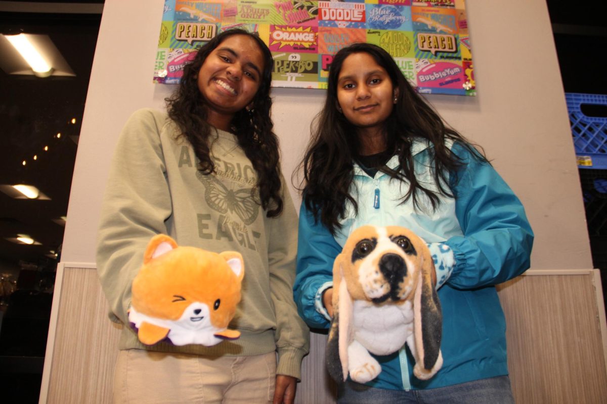 Coppell High School sophomores Saanvi Chiliveru and Bhuvana Bachu have organized a project to raise awareness for animal abuse for the Project Management Business Solutions (PMBS) event in DECA. Chiliveru and Bachu advocate for animal awareness and aim to reduce the amount of animal abuse cases in Texas.