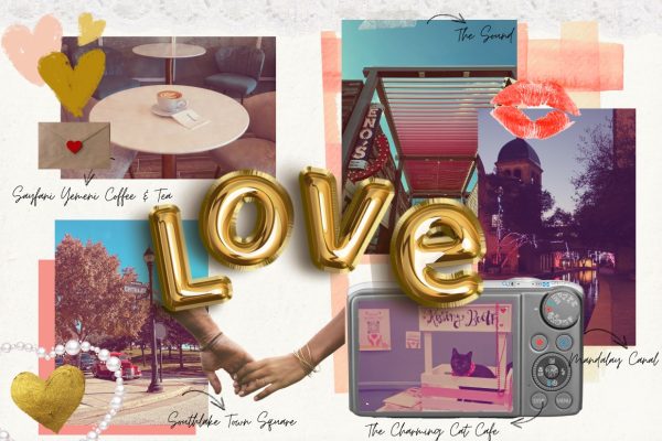 As Valentine’s Day approaches, couples look for unique places to celebrate their love. The Sidekick news editor Sahasra Chakilam provides ten date ideas for couples to enjoy together within Coppell.