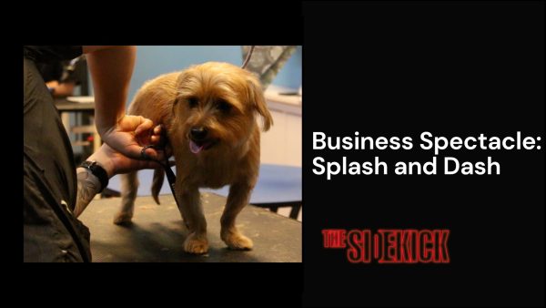 Business Spectacle: Splash and Dash (video)