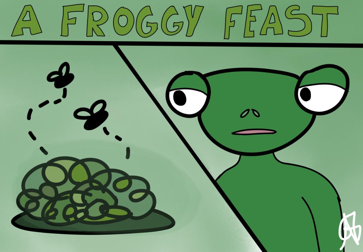 A Froggy Feast