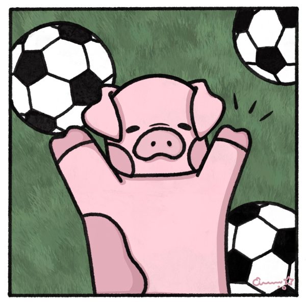 Don’t let pigs play soccer!